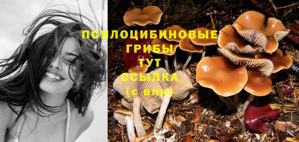 СК Пестово