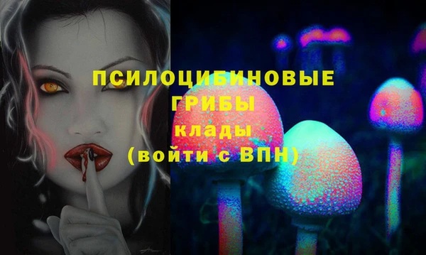 МДПВ Алексеевка